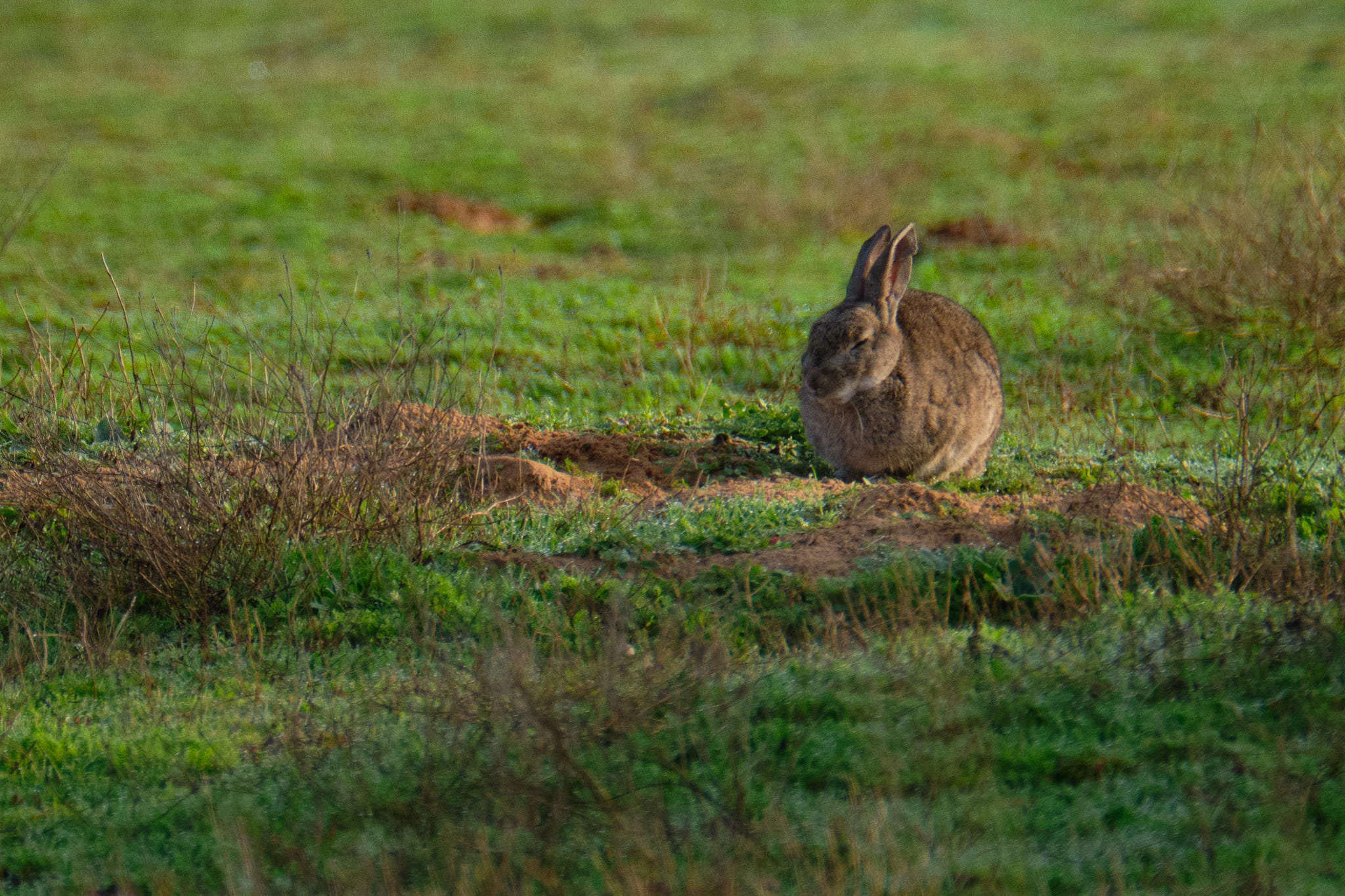 Spanien - Andalusien / Spain - Andalusia